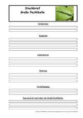 Große-Pechlibelle-Steckbriefvorlage.pdf
